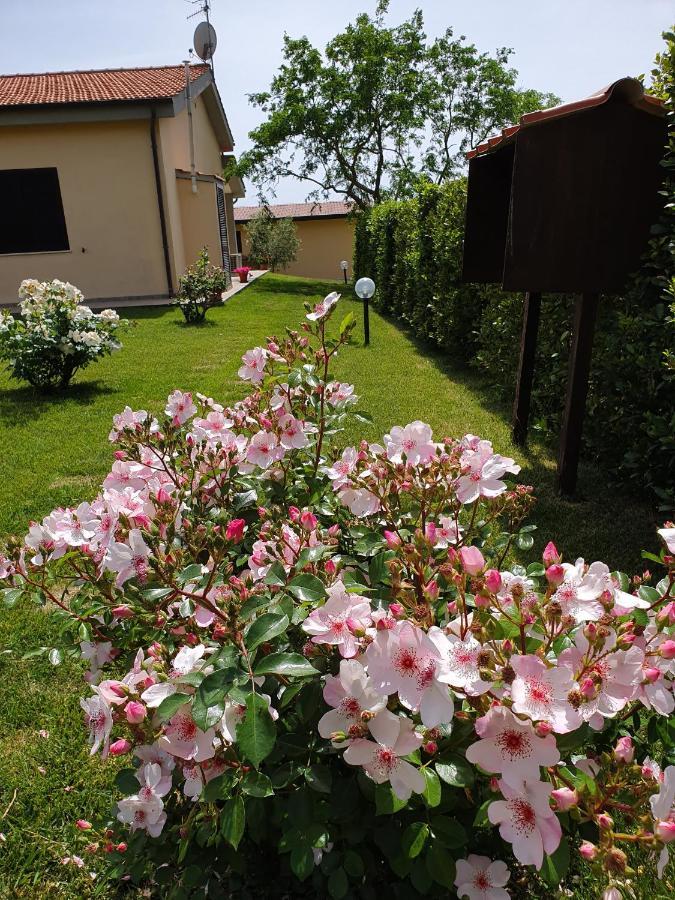 Agriturismo Severini Фонтебланда Екстер'єр фото